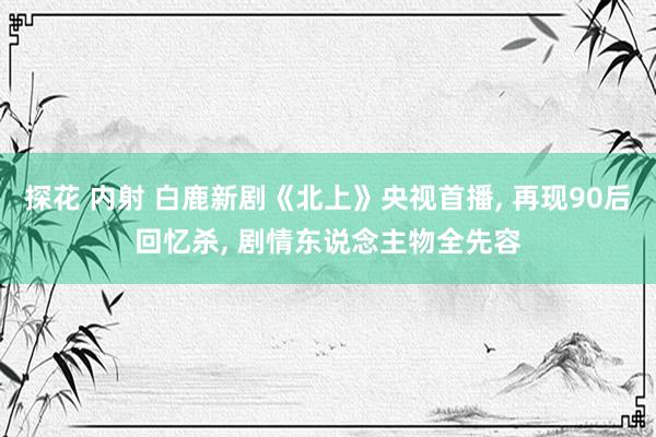 探花 内射 白鹿新剧《北上》央视首播， 再现90后回忆杀， 剧情东说念主物全先容