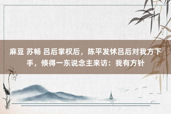 麻豆 苏畅 吕后掌权后，陈平发怵吕后对我方下手，倏得一东说念主来访：我有方针