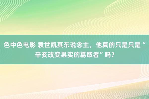 色中色电影 袁世凯其东说念主，他真的只是只是“辛亥改变果实的篡取者”吗？