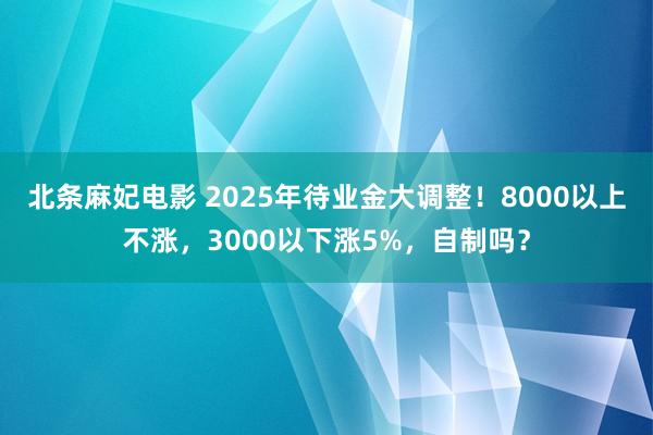 北条麻妃电影 2025年待业金大调整！8000以上不涨，3000以下涨5%，自制吗？