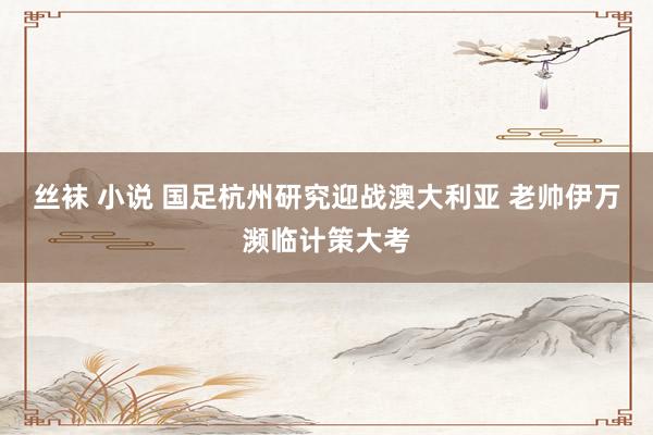 丝袜 小说 国足杭州研究迎战澳大利亚 老帅伊万濒临计策大考