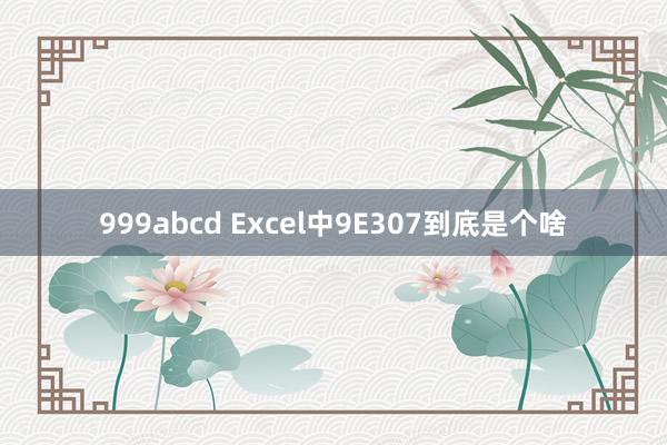 999abcd Excel中9E307到底是个啥